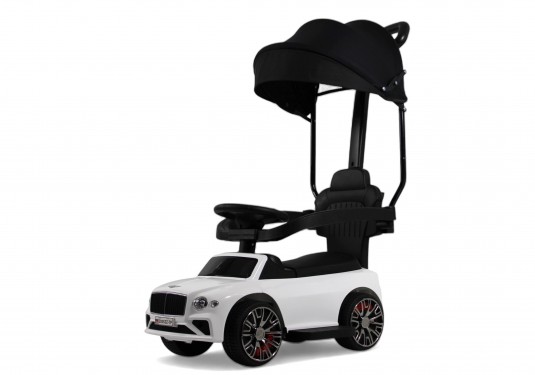 Детский толокар Z005ZZ-TP белый Детский толокар Z005ZZ-TP белый