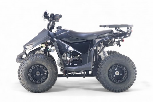 Детский квадроцикл LEON 49CC карбон
