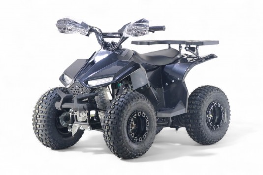 Детский квадроцикл LEON 49CC карбон