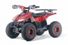 Детский электроквадроцикл LEON 48V красный спайдер