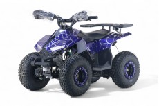 Детский квадроцикл LEON 49CC синий спайдер