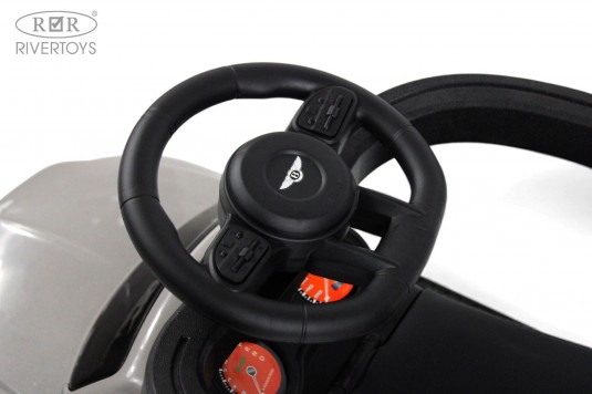 Детский толокар Z005ZZ-TP серый