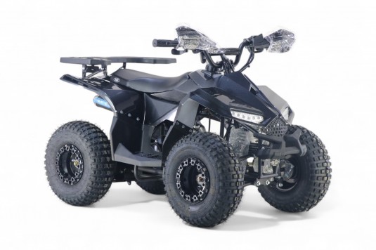 Детский квадроцикл LEON 49CC карбон