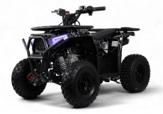 Детский квадроцикл SIMBA черный Spider