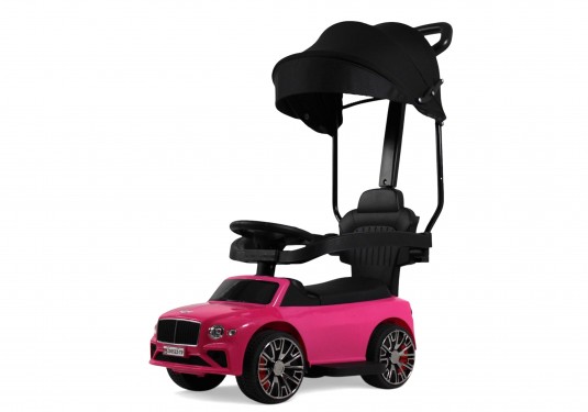 Детский толокар Z005ZZ-TP розовый Детский толокар Z005ZZ-TP розовый