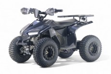 Детский электроквадроцикл LEON 48V карбон