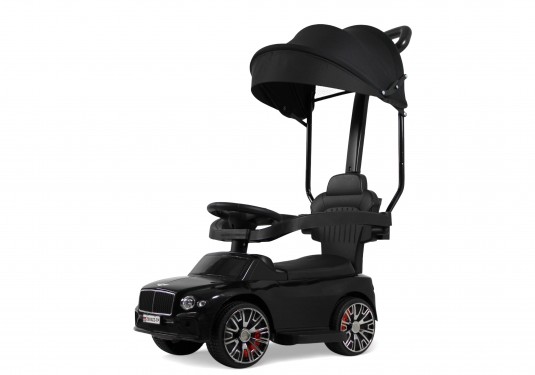 Детский толокар Z005ZZ-TP черный Детский толокар Z005ZZ-TP черный