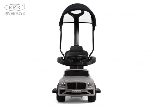 Детский толокар Z005ZZ-TP серый