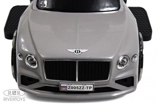 Детский толокар Z005ZZ-TP серый