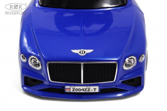 Детский толокар Z004ZZ-T синий Детский толокар Z004ZZ-T синий