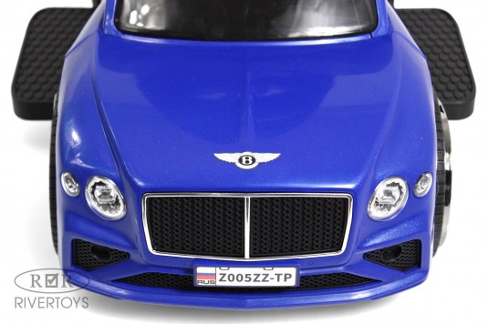 Детский толокар Z005ZZ-TP синий Детский толокар Z005ZZ-TP синий