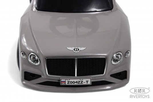 Детский толокар Z004ZZ-T серый Детский толокар Z004ZZ-T серый