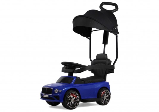 Детский толокар Z005ZZ-TP синий Детский толокар Z005ZZ-TP синий