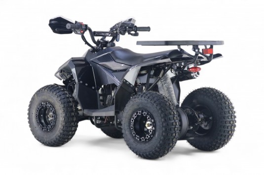 Детский квадроцикл LEON 49CC карбон