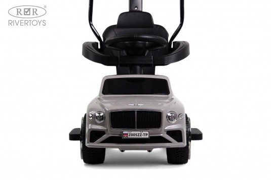 Детский толокар Z005ZZ-TP серый